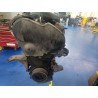 Recambio de motor completo para seat ibiza (6k1) select referencia OEM IAM AGP  