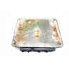 Recambio de centralita motor uce para seat ibiza (6k1) select referencia OEM IAM 038906013AB 0281001911 
