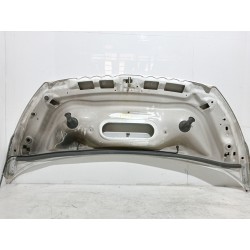 Recambio de capot para peugeot expert kasten furg. referencia OEM IAM   