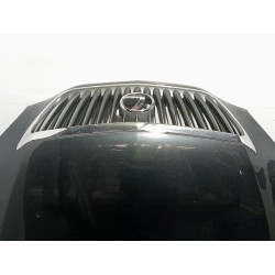 Recambio de capot para lexus rx 350 referencia OEM IAM   