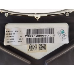 Recambio de cuadro instrumentos para peugeot 307 (s1) xr clim referencia OEM IAM P9651299680  