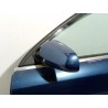 Recambio de puerta delantera izquierda para audi a4 berlina (8e) 2.5 tdi quattro (132kw) referencia OEM IAM   