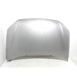 Recambio de capot para volkswagen polo (9n3) advance referencia OEM IAM   