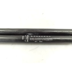 Recambio de amortiguadores maletero/ portón para renault scenic (ja..) 1.9 dci authentique referencia OEM IAM PU005560  