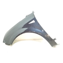 Recambio de aleta delantera izquierda para renault scenic ii confort dynamique referencia OEM IAM   