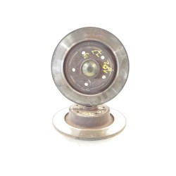 Recambio de disco freno trasero para renault laguna ii (bg0) authentique referencia OEM IAM   