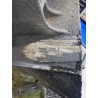 Recambio de caja cambios para citroen c2 audace referencia OEM IAM 20CP67  