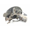 Recambio de mangueta delantera izquierda para volkswagen touran (1t1) advance referencia OEM IAM   