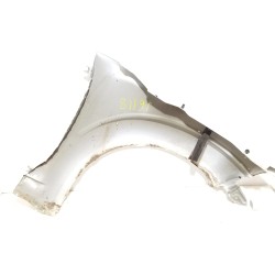 Recambio de aleta delantera izquierda para nissan pathfinder (r51) 2.5 dci le referencia OEM IAM   