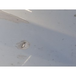 Recambio de paragolpes delantero para ford fiesta (cb1) titanium referencia OEM IAM   