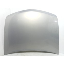 Recambio de capot para renault vel satis (bj0) expression referencia OEM IAM   