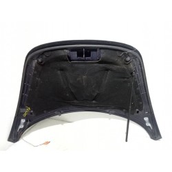 Recambio de capot para volkswagen new beetle (9c1/1c1) 1.9 tdi referencia OEM IAM   