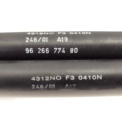 Recambio de amortiguadores maletero/ portón para citroen xsara break referencia OEM IAM 9626677480  