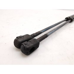 Recambio de amortiguadores maletero/ portón para renault laguna grandtour (k56) referencia OEM IAM 430718575550  