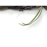 Recambio de retrovisor derecho para citroen c4 grand picasso referencia OEM IAM 96542245XT  