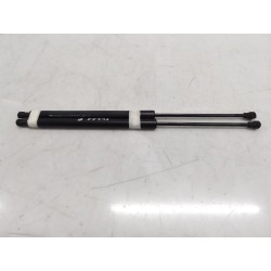 Recambio de amortiguadores maletero/ portón para renault scenic iii referencia OEM IAM 904500004R  