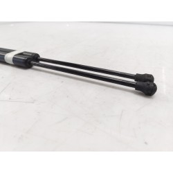 Recambio de amortiguadores maletero/ portón para renault scenic iii referencia OEM IAM 904500004R  