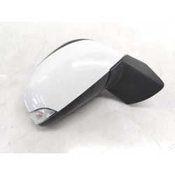 Recambio de retrovisor derecho para renault scenic iii referencia OEM IAM 963024894R  