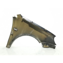 Recambio de aleta delantera izquierda para volkswagen polo iv (9n_, 9a_) 1.4 16v referencia OEM IAM  6Q0821105C 
