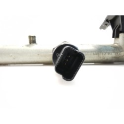 Recambio de rampa inyectora para citroën xsara picasso referencia OEM IAM 0445214019  
