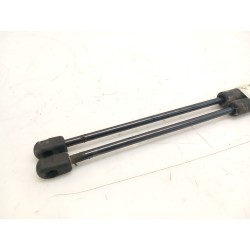Recambio de amortiguadores maletero/ portón para renault scenic ii authentique referencia OEM IAM 8200616559  