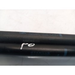 Recambio de amortiguadores maletero/ portón para renault scenic ii authentique referencia OEM IAM 8200616559  