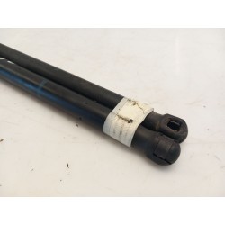 Recambio de amortiguadores maletero/ portón para renault scenic ii authentique referencia OEM IAM 8200616559  