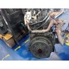 Kompletter Motor Goa | Desguace Becerril