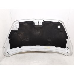 Motorhaube Ford B-max (jk) | Desguace Becerril