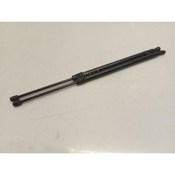 Trunk/boot lid struts Honda Cr-V III (RE_) | Becerril Scrap Yard