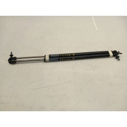 Trunk/boot lid struts...
