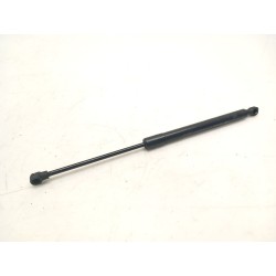 Trunk/boot lid struts Dacia Dokker furgoneta/monovolumen | Becerril Scrap Yard