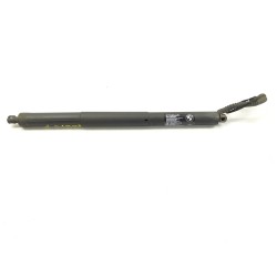 Trunk/boot lid struts BMW X5 (F15, F85) | Becerril Scrap Yard