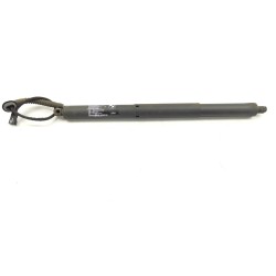 Trunk/boot lid struts BMW X5 (F15, F85) | Becerril Scrap Yard