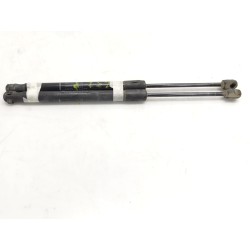 Trunk/boot lid struts Dacia Duster (HS_) | Becerril Scrap Yard