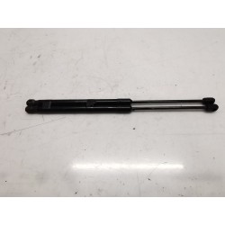 Trunk/boot lid struts CITROEN C4 II (NC_) | Becerril Scrap Yard