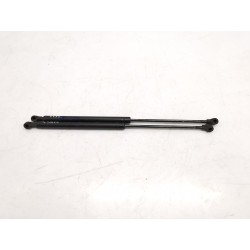 Trunk/boot lid struts Renault 19 II (b/C53_) | Becerril Scrap Yard