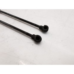 Recambio de amortiguadores maletero/ portón para renault 19 ii (b/c53_) 1.4 referencia OEM IAM   