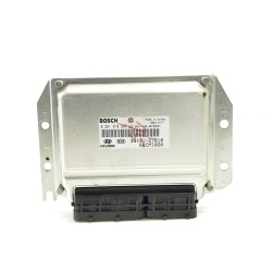Recambio de centralita motor uce para hyundai matrix (fc) 1.5 crdi referencia OEM IAM 3910127610 0281010695 66CMI020