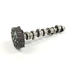 Recambio de arbol de levas para volkswagen caddy iii furgoneta/monovolumen (2ka, 2kh, 2ca, 2ch) 2.0 sdi referencia OEM IAM 03810