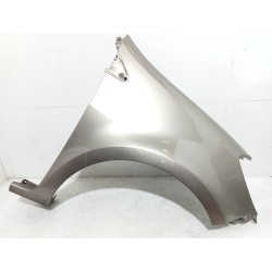 Recambio de aleta delantera derecha para renault clio iii (br0/1, cr0/1) 1.5 dci referencia OEM IAM 7701476105  6504-04-6033314P