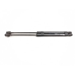 Trunk/boot lid struts | Becerril Scrap Yard
