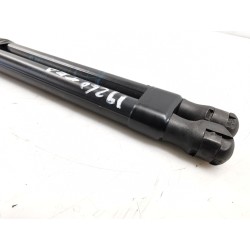 Trunk/boot lid struts | Becerril Scrap Yard
