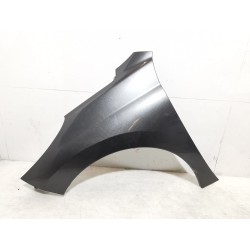 Left front fender Peugeot 207 sw (WK_) | Becerril Scrap Yard