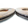 Disque de frein avant CITROEN Xsara picasso (N68) | Desguace Becerril