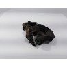 Recambio de pinza freno trasera derecha para mercedes-benz vito (w638) combi 110 cdi (638.194) referencia OEM IAM   