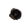 Recambio de caja cambios para nissan pick-up (d22) td doble cabina navara 4x4 referencia OEM IAM YD25DDTI  