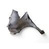 Recambio de aleta delantera derecha para nissan nv200 furgoneta 1.5 dci 90 (m20, m20m) referencia OEM IAM   