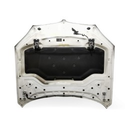 Recambio de capot para bmw x5 (f15, f85) xdrive 25 d referencia OEM IAM   