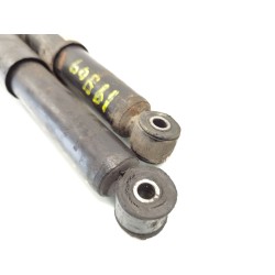 Recambio de juego amortiguadores delantero para nissan terrano ii (r20) 2.7 tdi 4wd referencia OEM IAM 301700290637  